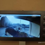Відеодомофон